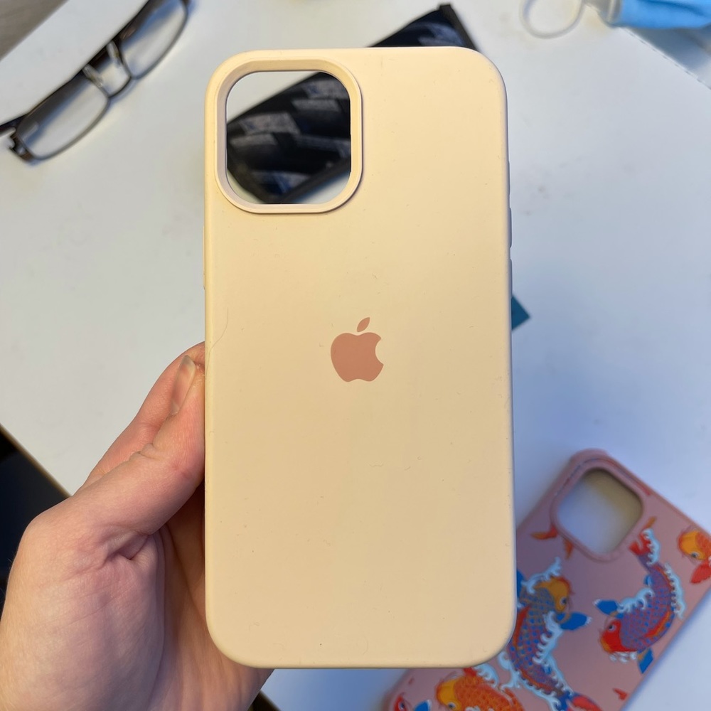 iPhone 12 Pro max (size) case